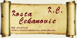 Kosta Čekanović vizit kartica